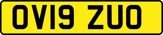OV19ZUO
