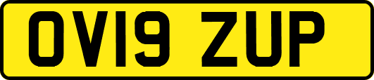 OV19ZUP
