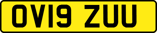 OV19ZUU