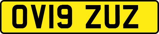 OV19ZUZ