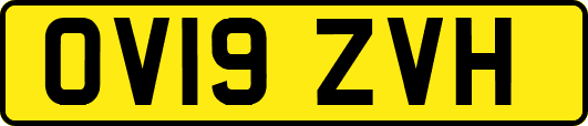 OV19ZVH