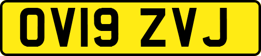 OV19ZVJ