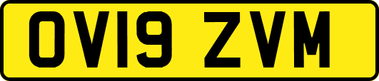 OV19ZVM