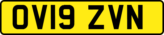 OV19ZVN