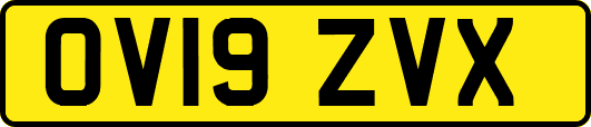OV19ZVX