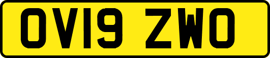 OV19ZWO