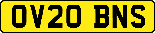 OV20BNS