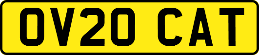 OV20CAT