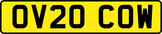 OV20COW