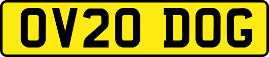 OV20DOG