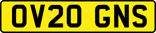 OV20GNS