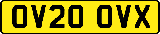 OV20OVX