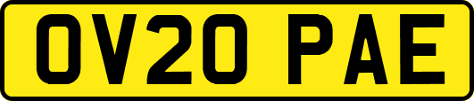 OV20PAE