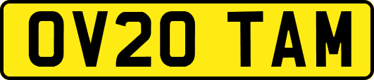 OV20TAM