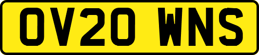 OV20WNS