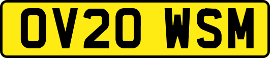 OV20WSM