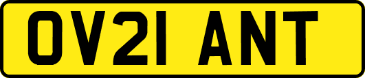 OV21ANT