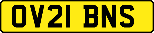 OV21BNS