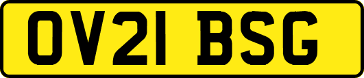 OV21BSG