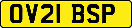 OV21BSP