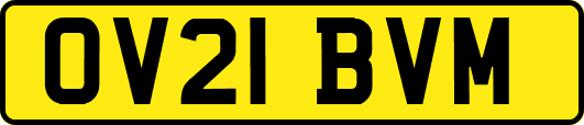 OV21BVM