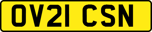 OV21CSN