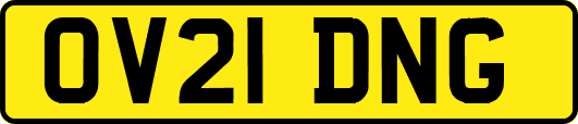 OV21DNG