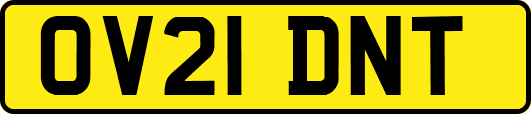 OV21DNT