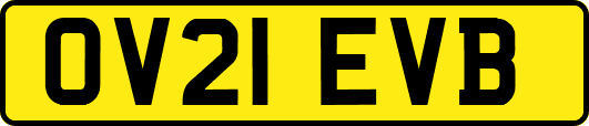 OV21EVB