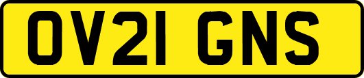 OV21GNS