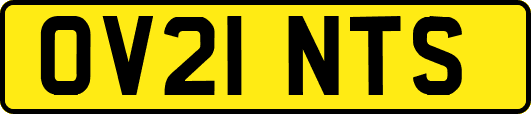 OV21NTS