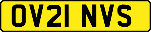 OV21NVS