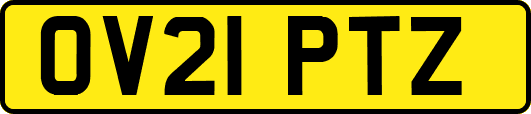 OV21PTZ