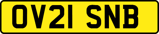 OV21SNB