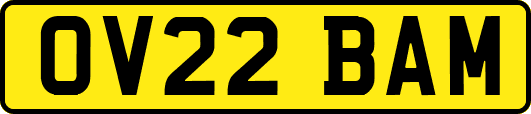 OV22BAM