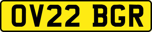 OV22BGR