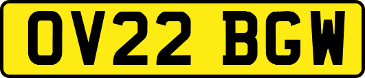 OV22BGW