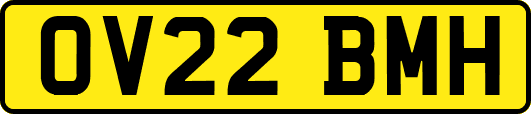 OV22BMH