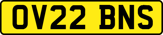 OV22BNS