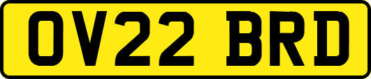 OV22BRD