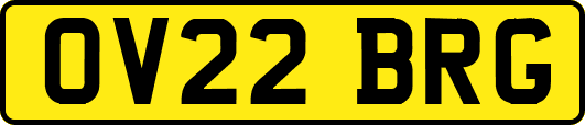 OV22BRG