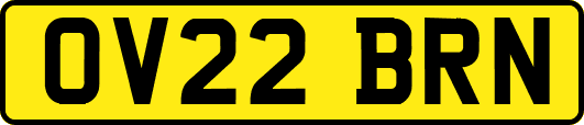 OV22BRN