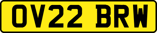 OV22BRW