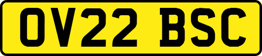 OV22BSC