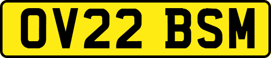 OV22BSM
