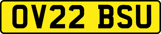 OV22BSU