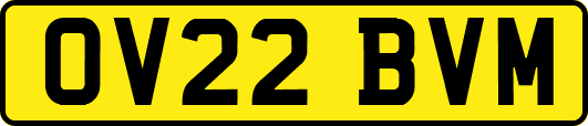 OV22BVM