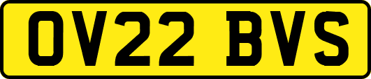 OV22BVS