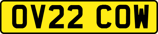 OV22COW