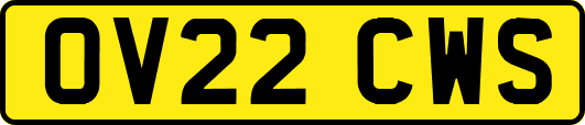 OV22CWS